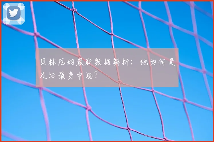 贝林厄姆最新数据解析：他为何是足坛最贵中场？